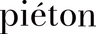 Pieton Footwear Brand Logo