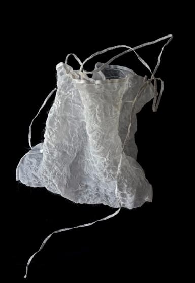 ANI ORGANZA BAG