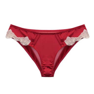 Opulent Lace Brief in Berry Red
